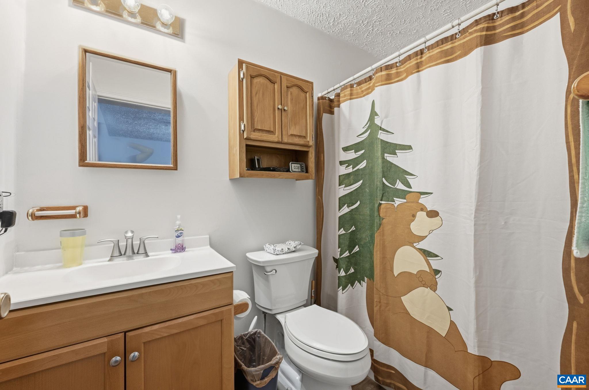 9402 Cedar Hollow Road Unionville, VA 22567 - Photo 45 of 73