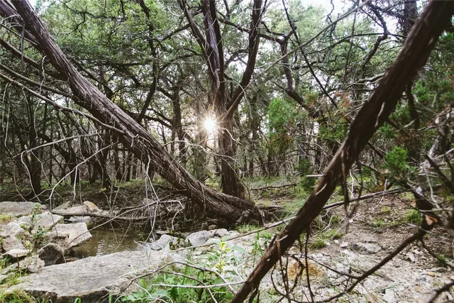 $1,650,000 | 806 Bell Springs Road, Dripping Springs, TX 78620