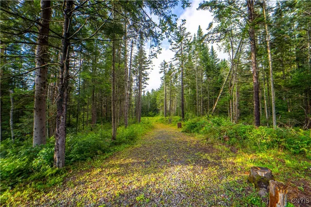 $78,250 | 339 Highway 8, Morehouse, NY 13353