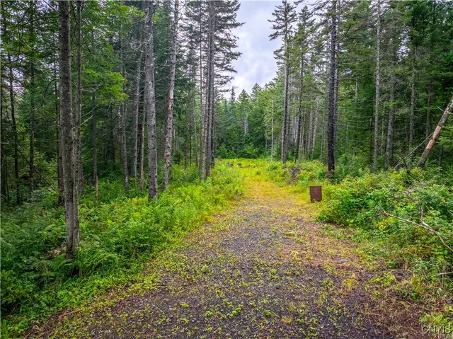 $78,250 | 339 Highway 8, Morehouse, NY 13353