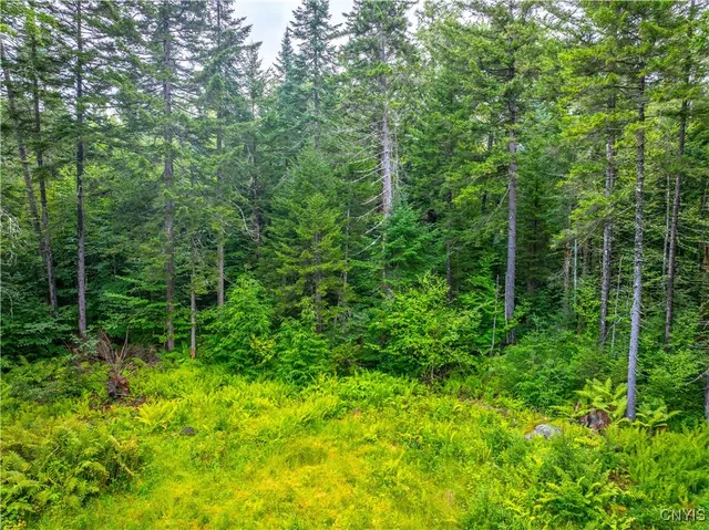 $78,250 | 339 Highway 8, Morehouse, NY 13353