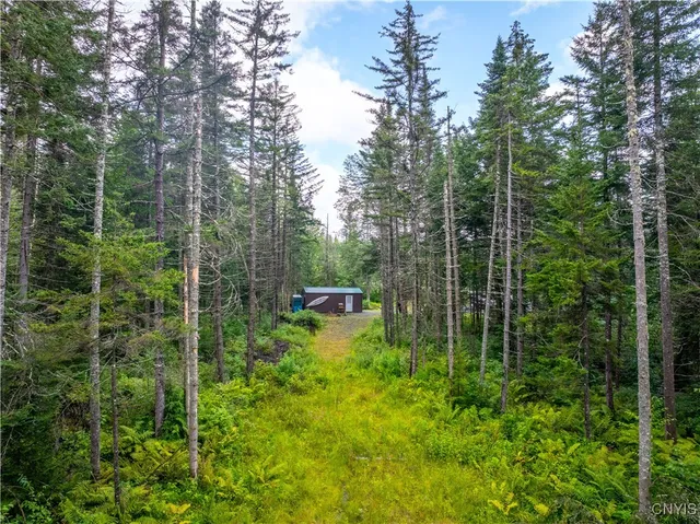 $78,250 | 339 Highway 8, Morehouse, NY 13353