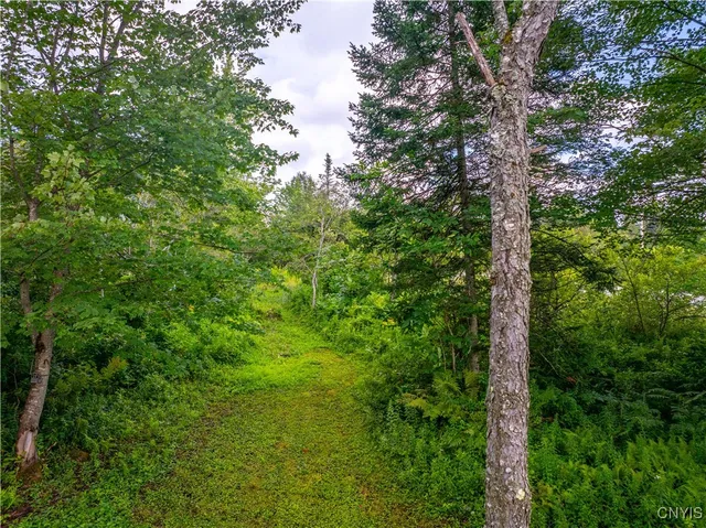 $78,250 | 339 Highway 8, Morehouse, NY 13353