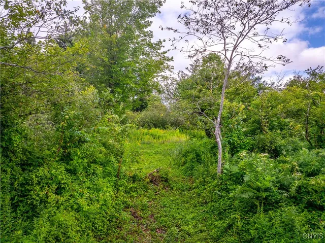 $78,250 | 339 Highway 8, Morehouse, NY 13353