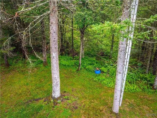 $78,250 | 339 Highway 8, Morehouse, NY 13353