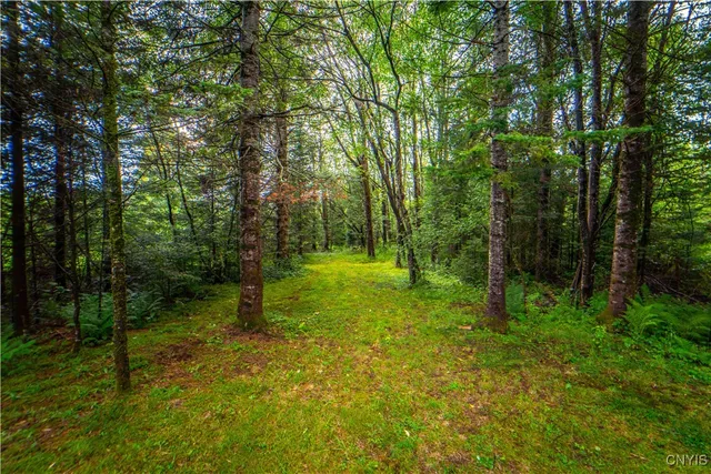 $78,250 | 339 Highway 8, Morehouse, NY 13353