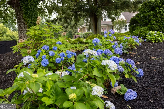 $1,649,999 | 7093 Vaughn Road, Woodstock, GA 30188