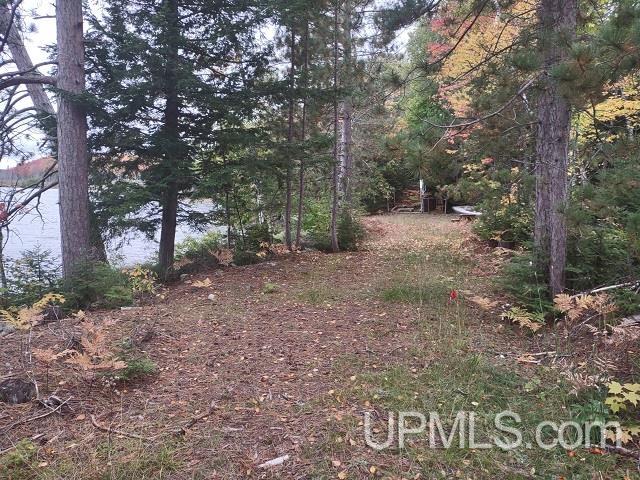 5800 Wolf Lake Road Watersmeet, MI 49969 - Photo 25 of 86