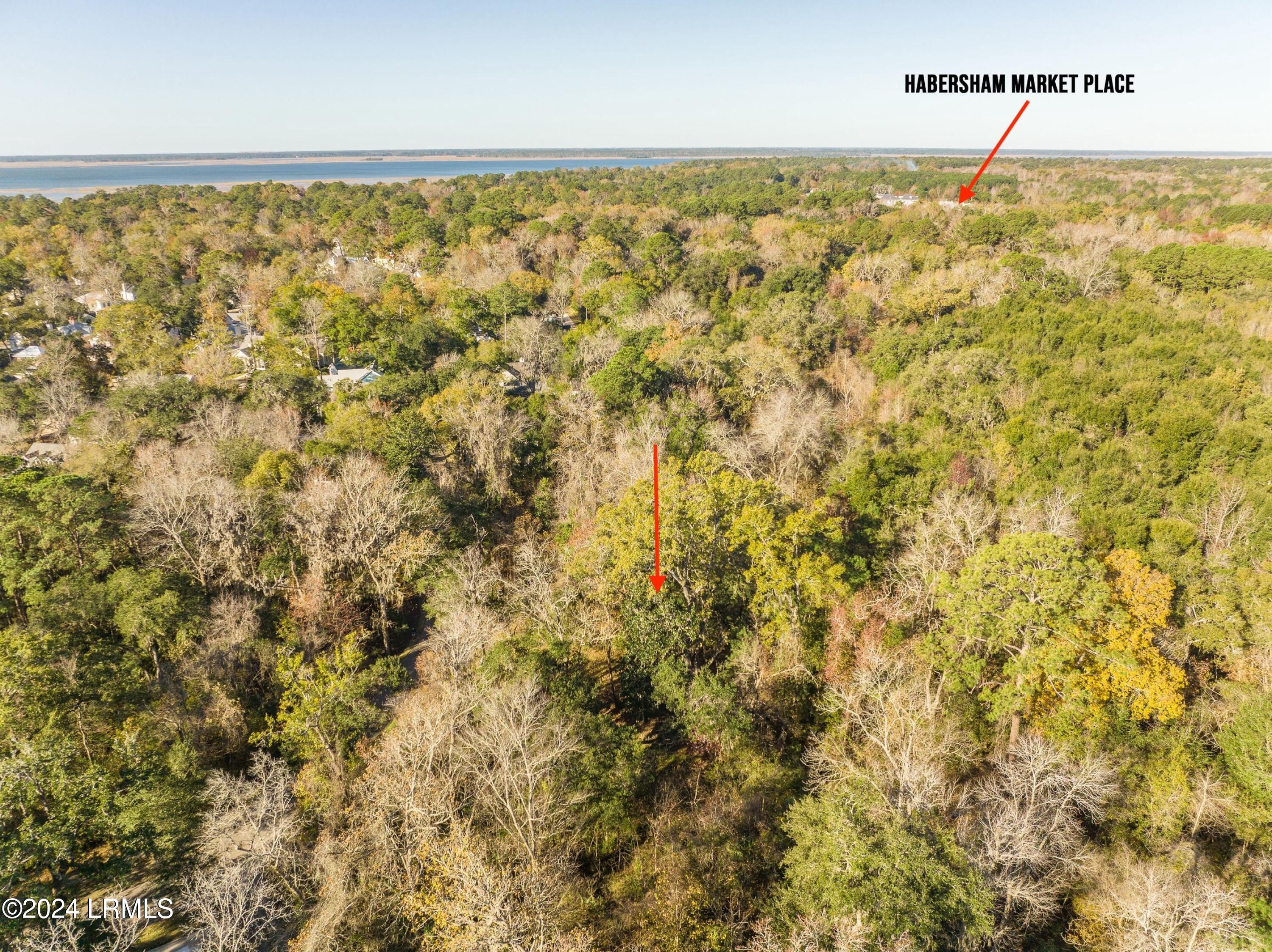 33 Mt Grace Beaufort, SC 29906 - Photo 11 of 29 DJI_0548-1.jpg-SMALL