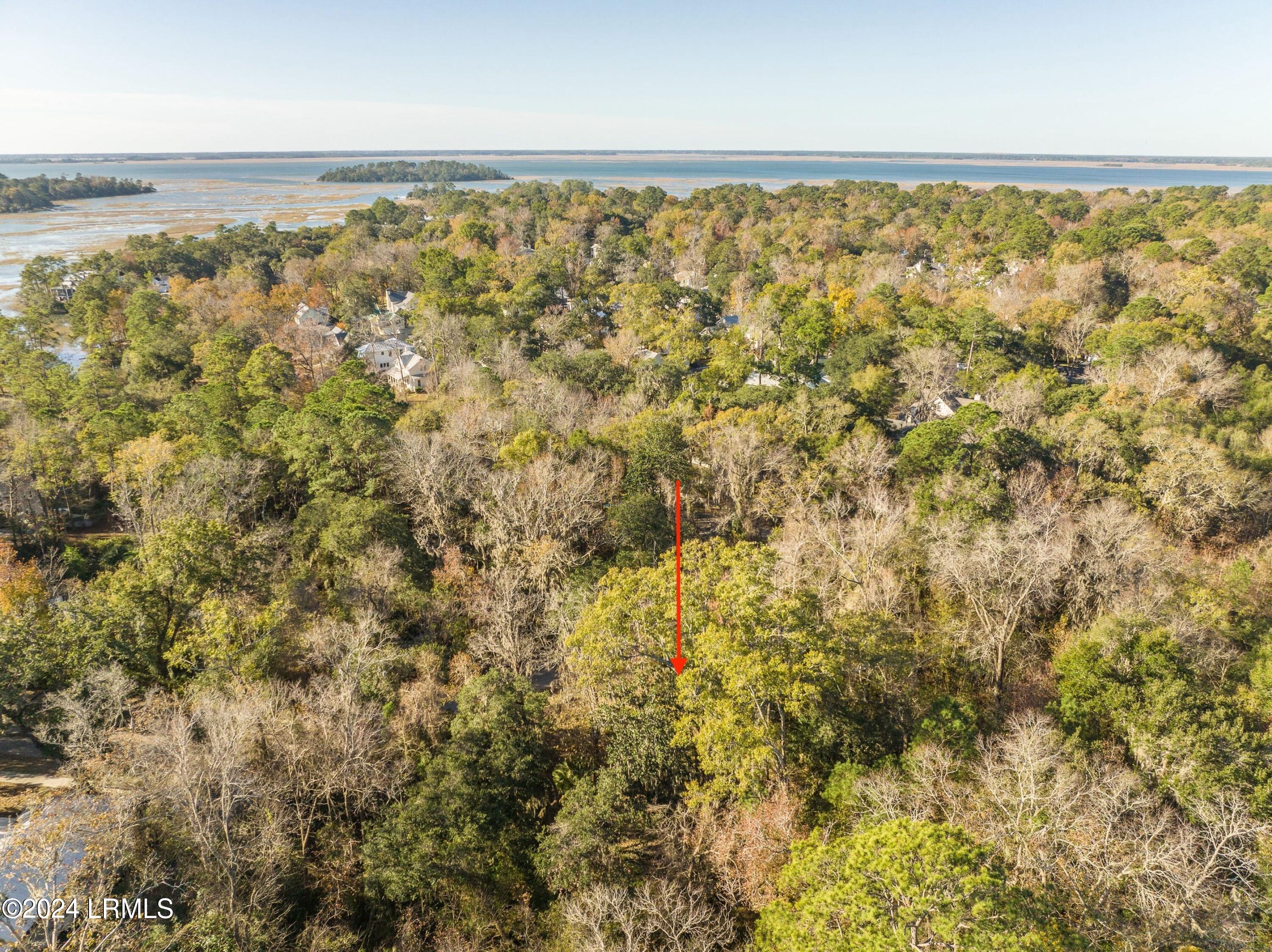 33 Mt Grace Beaufort, SC 29906 - Photo 12 of 29 DJI_0547-1.jpg-SMALL