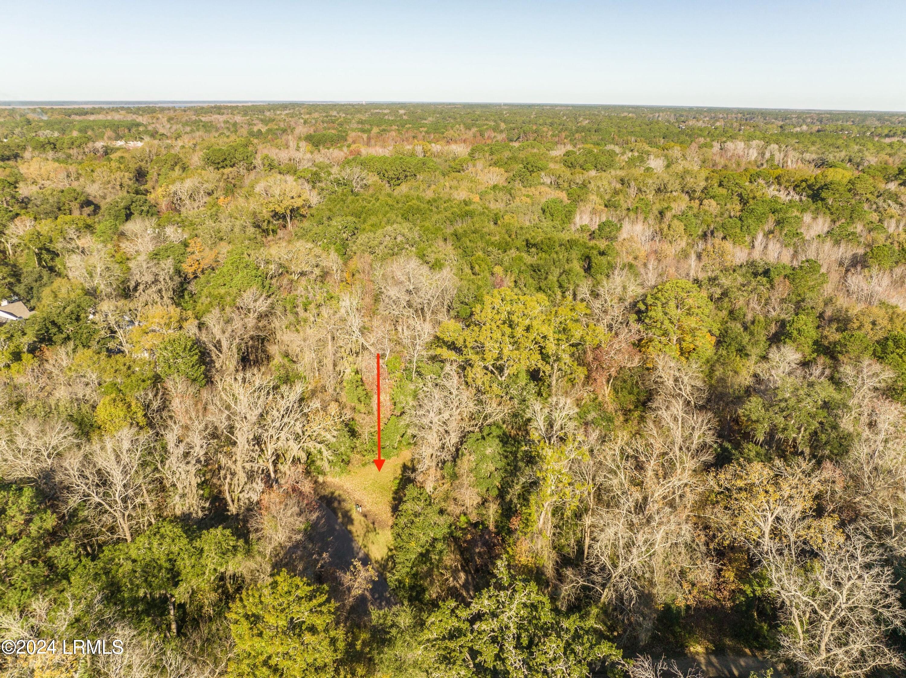 33 Mt Grace Beaufort, SC 29906 - Photo 13 of 29 DJI_0550-1.jpg-SMALL