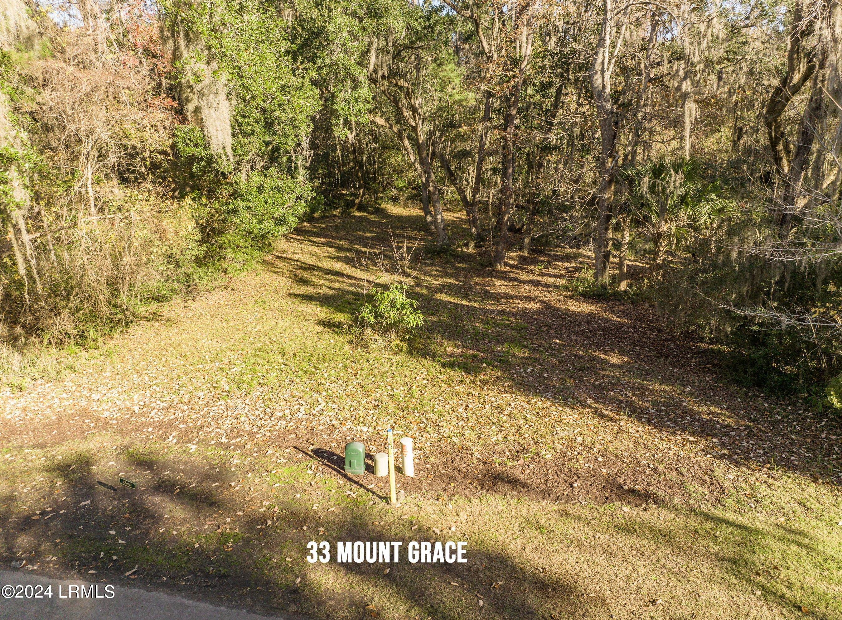 33 Mt Grace Beaufort, SC 29906 - Photo 14 of 29 DJI_0557-1.jpg-SMALL