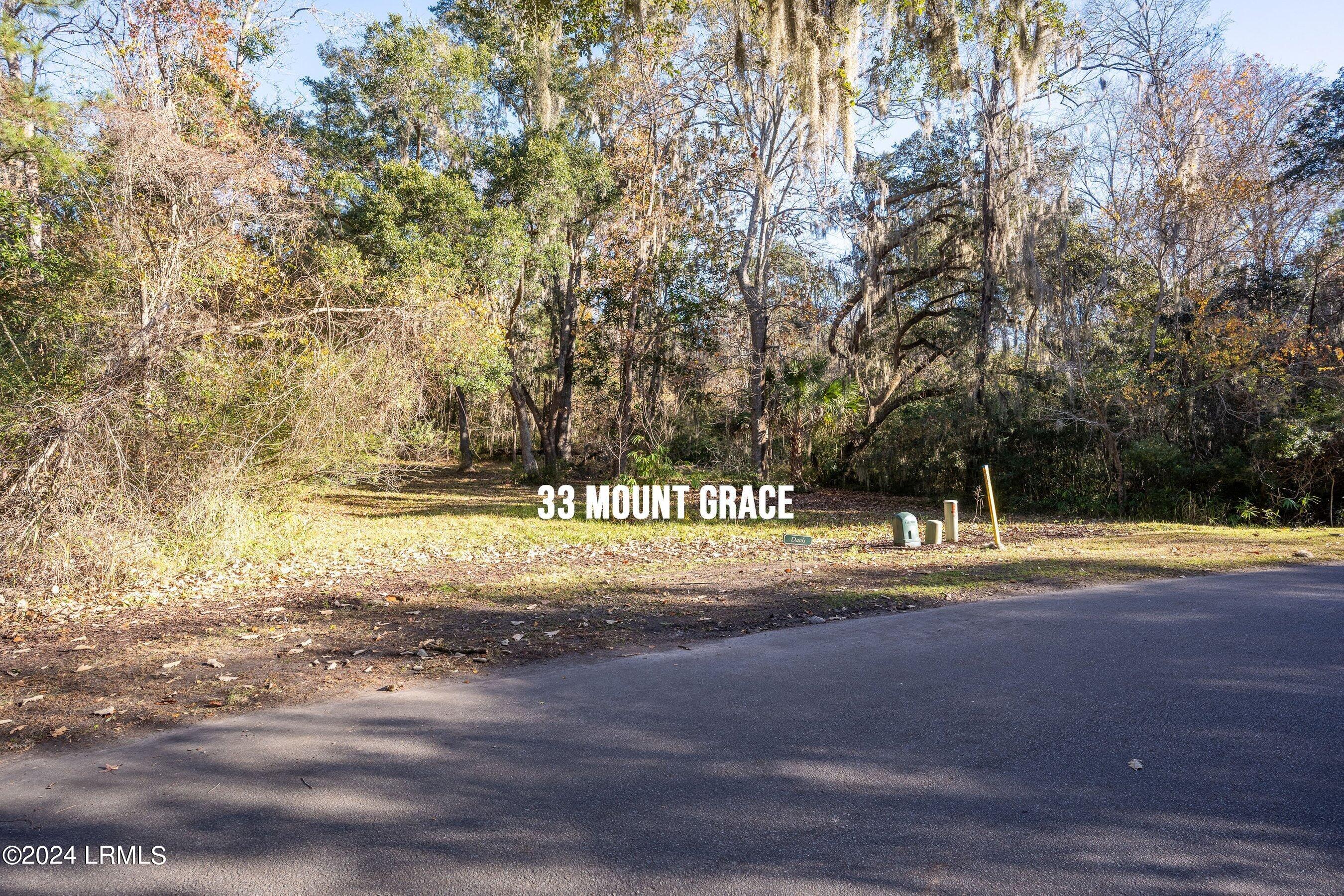 33 Mt Grace Beaufort, SC 29906 - Photo 18 of 29 DSC07773-HDR-1.jpg-SMALL