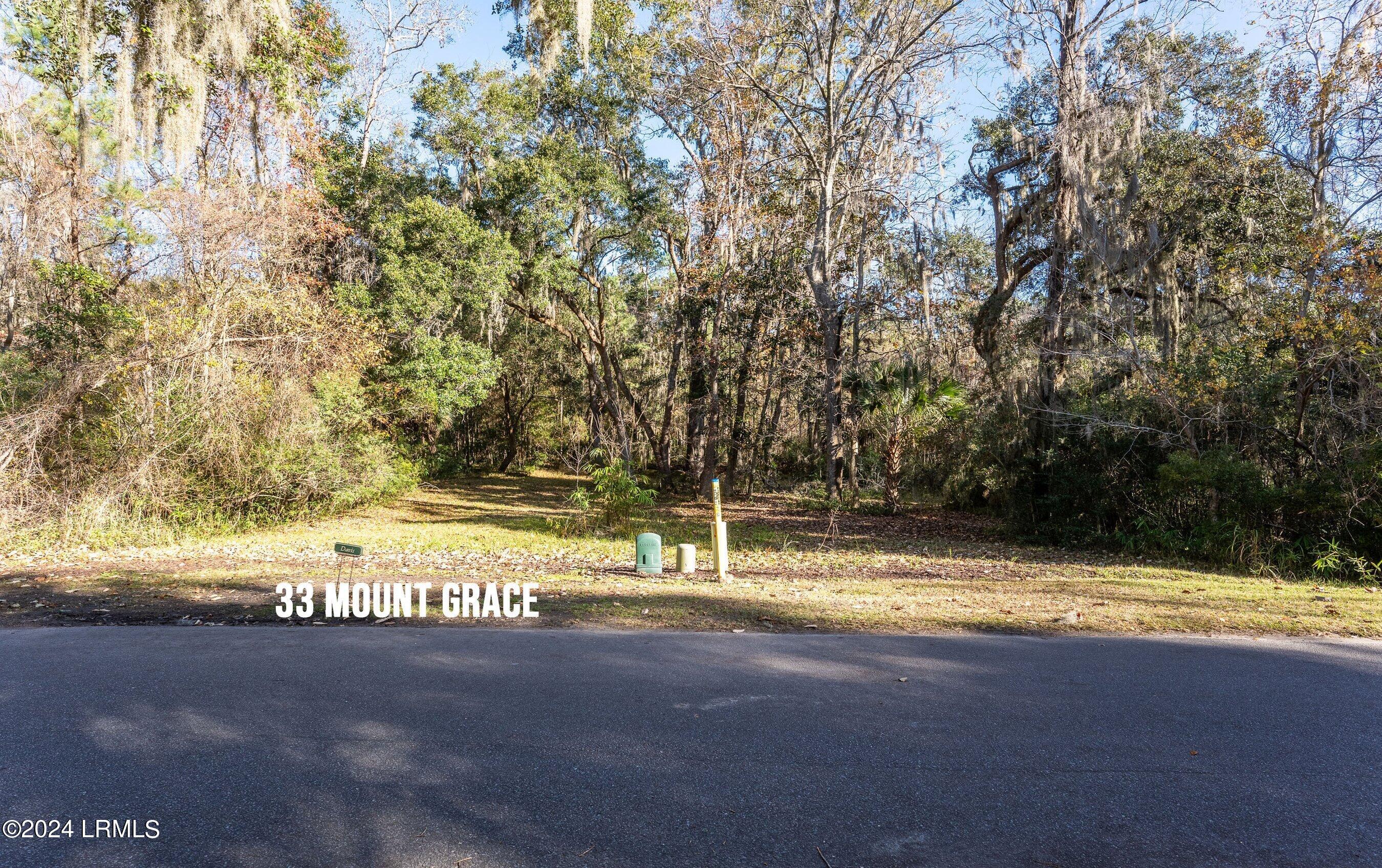 33 Mt Grace Beaufort, SC 29906 - Photo 19 of 29 DSC07778-HDR-1.jpg-SMALL