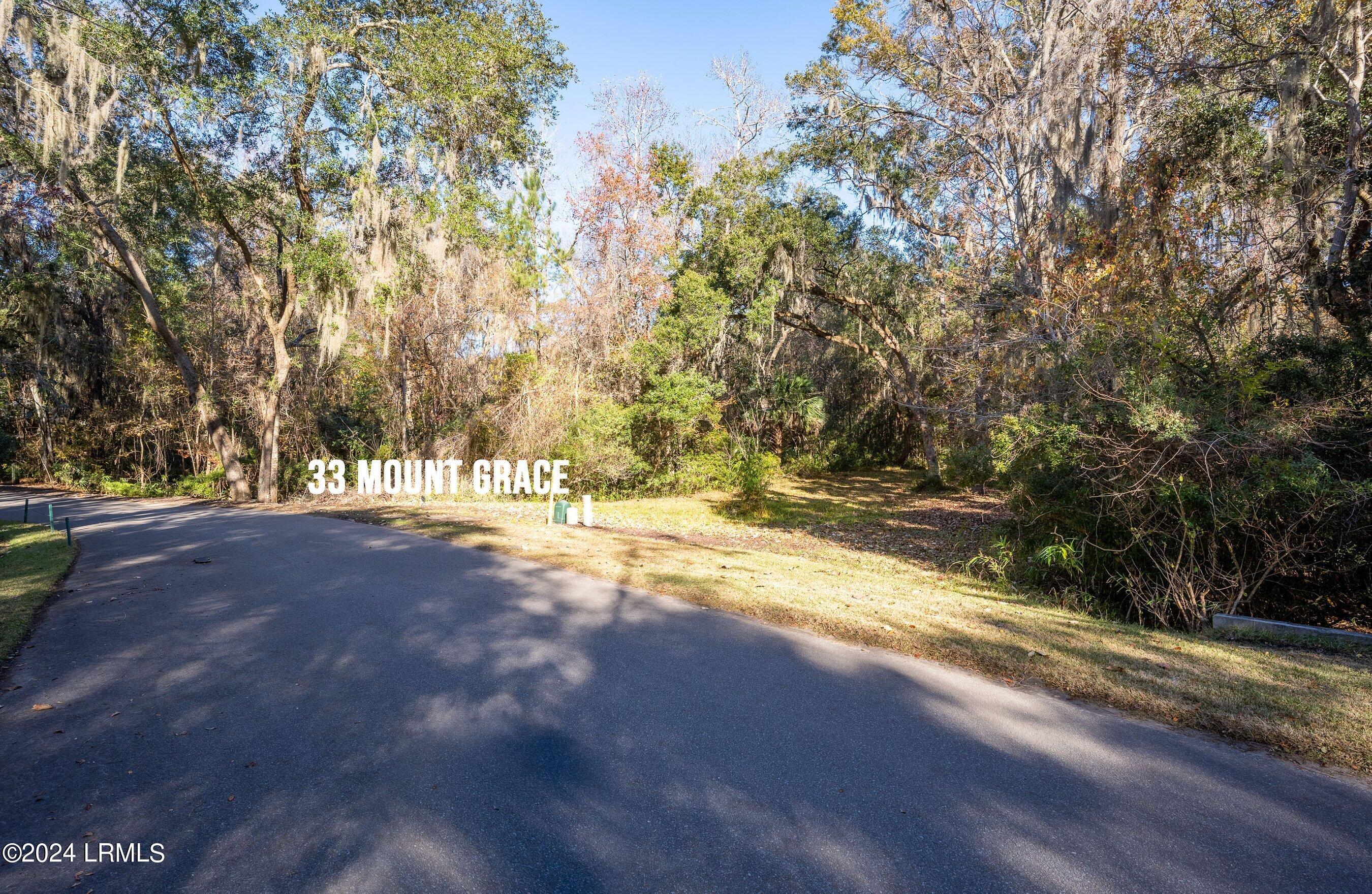 33 Mt Grace Beaufort, SC 29906 - Photo 20 of 29 DSC07787-HDR-1.jpg-SMALL
