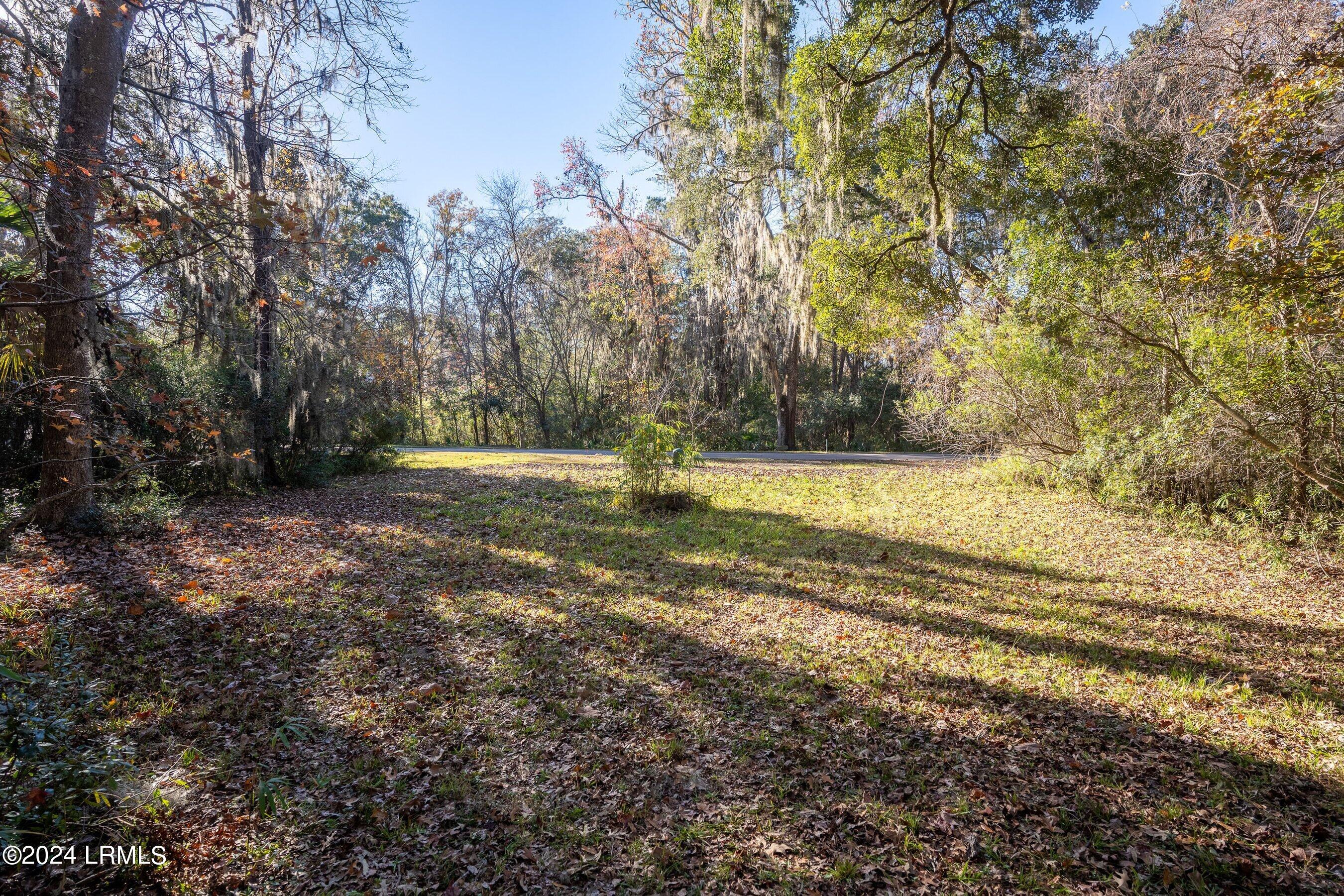 33 Mt Grace Beaufort, SC 29906 - Photo 23 of 29 DSC07802-HDR-1.jpg-SMALL