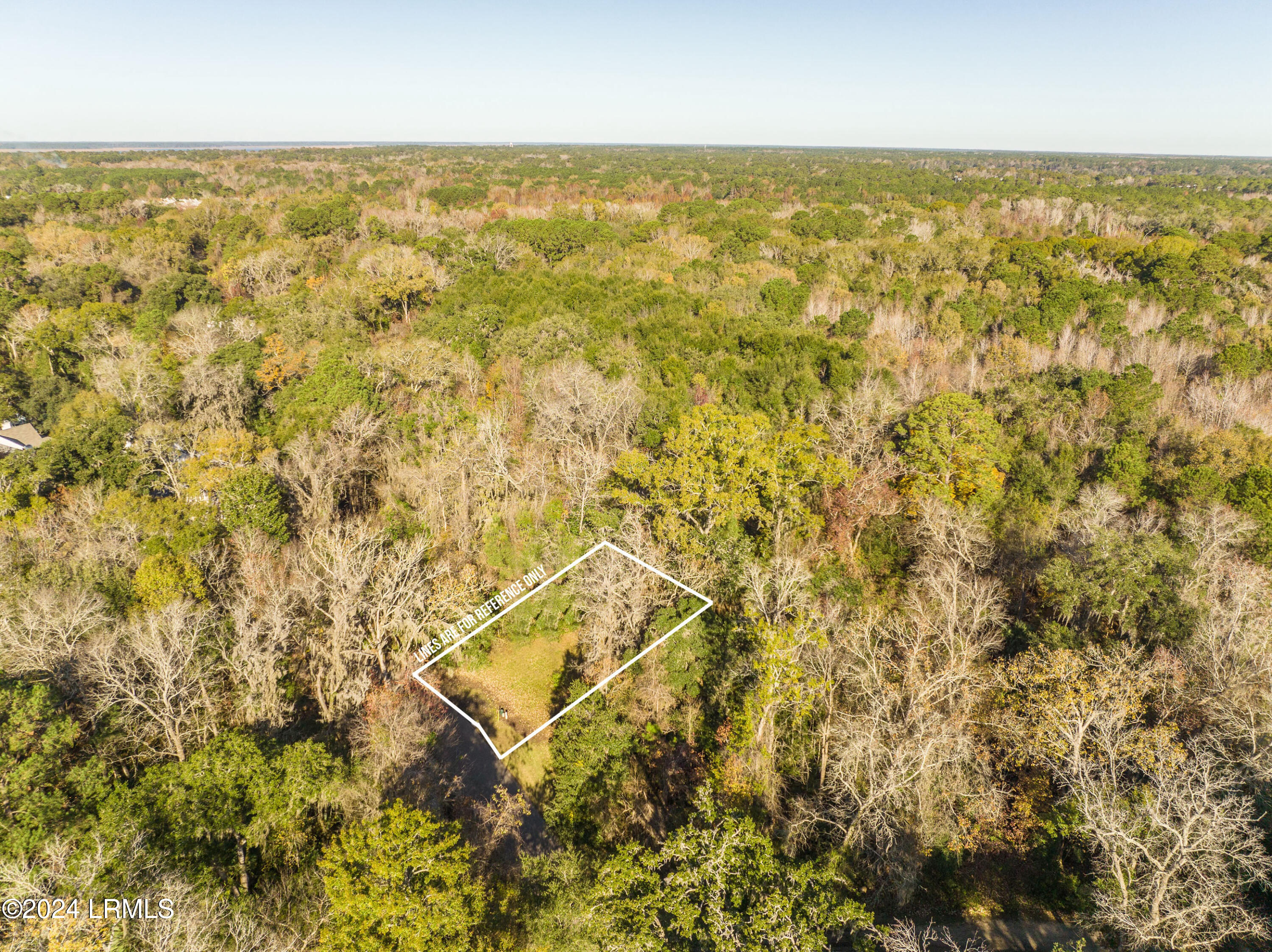 33 Mt Grace Beaufort, SC 29906 - Photo 8 of 29 DJI_0550-1.jpg-FULL
