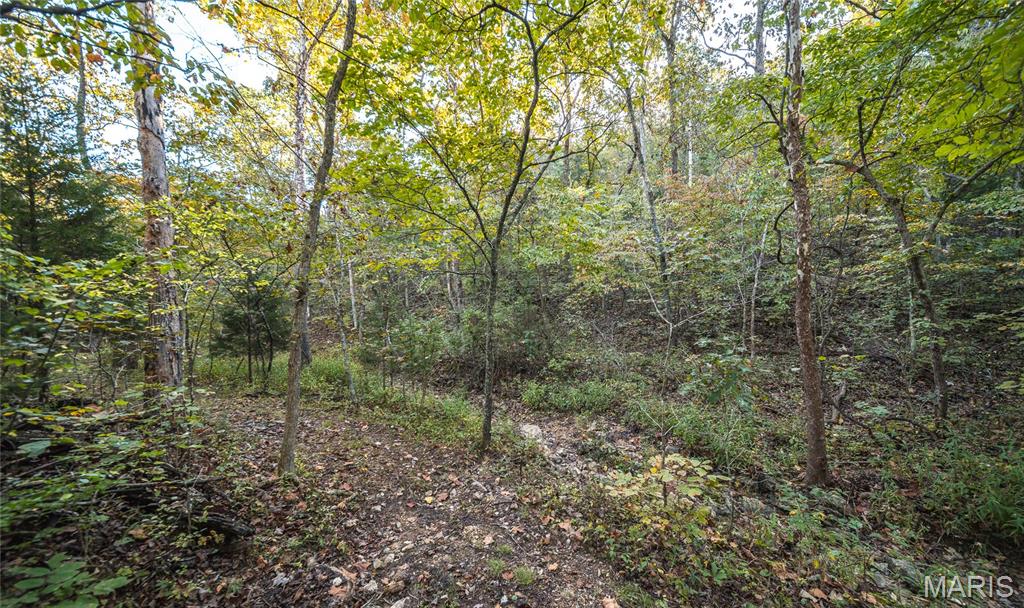 10206 Slice Road Sullivan, MO 63080 - Photo 41 of 66 Gallery Image 41