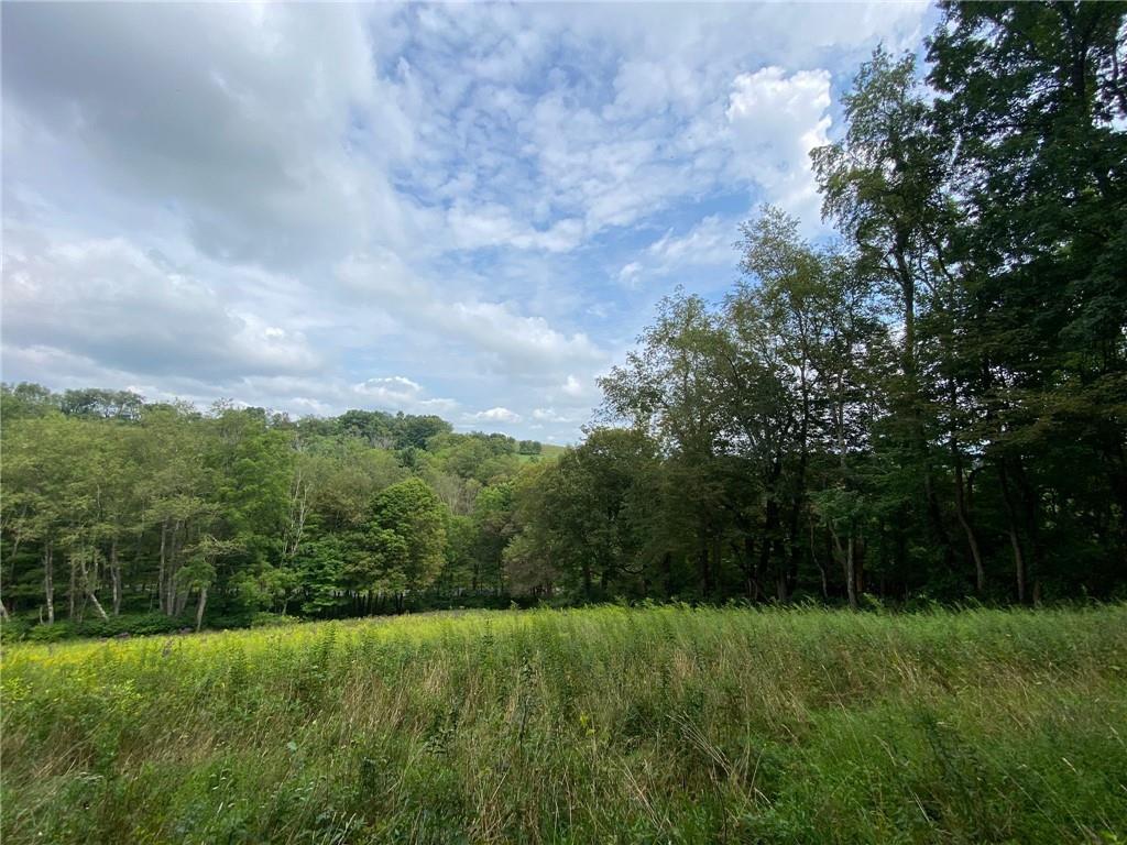 280 Fairview School Road Ligonier, PA 15658 - Photo 3 of 9 Gallery Image 3