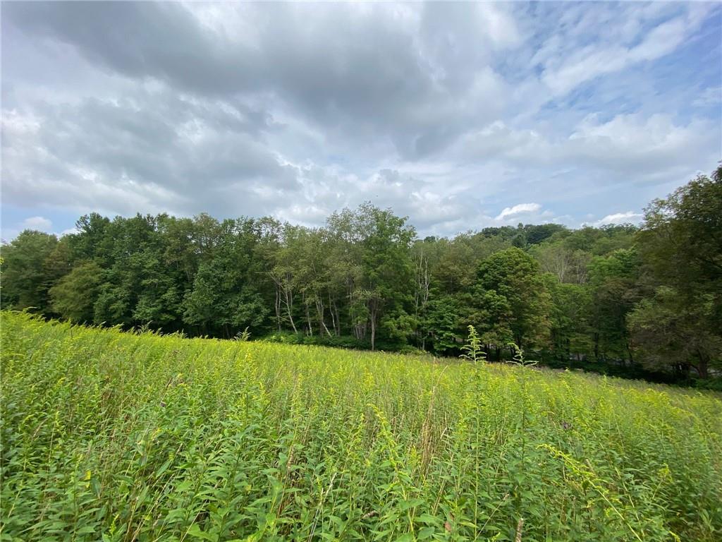 280 Fairview School Road Ligonier, PA 15658 - Photo 4 of 9 Gallery Image 4