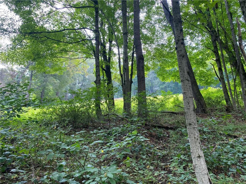 280 Fairview School Road Ligonier, PA 15658 - Photo 8 of 9 Gallery Image 8