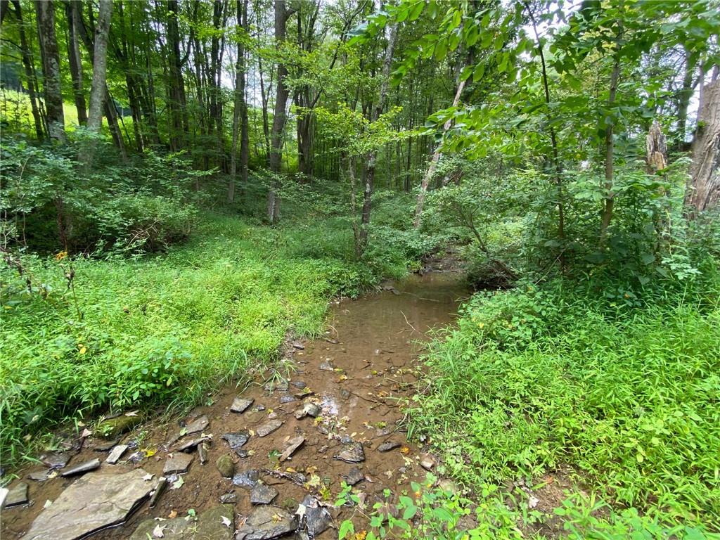 280 Fairview School Road Ligonier, PA 15658 - Photo 9 of 9 Gallery Image 9