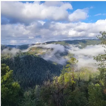 $196,000 | 25510 Arctic Mine Road, Nevada City, CA 95959