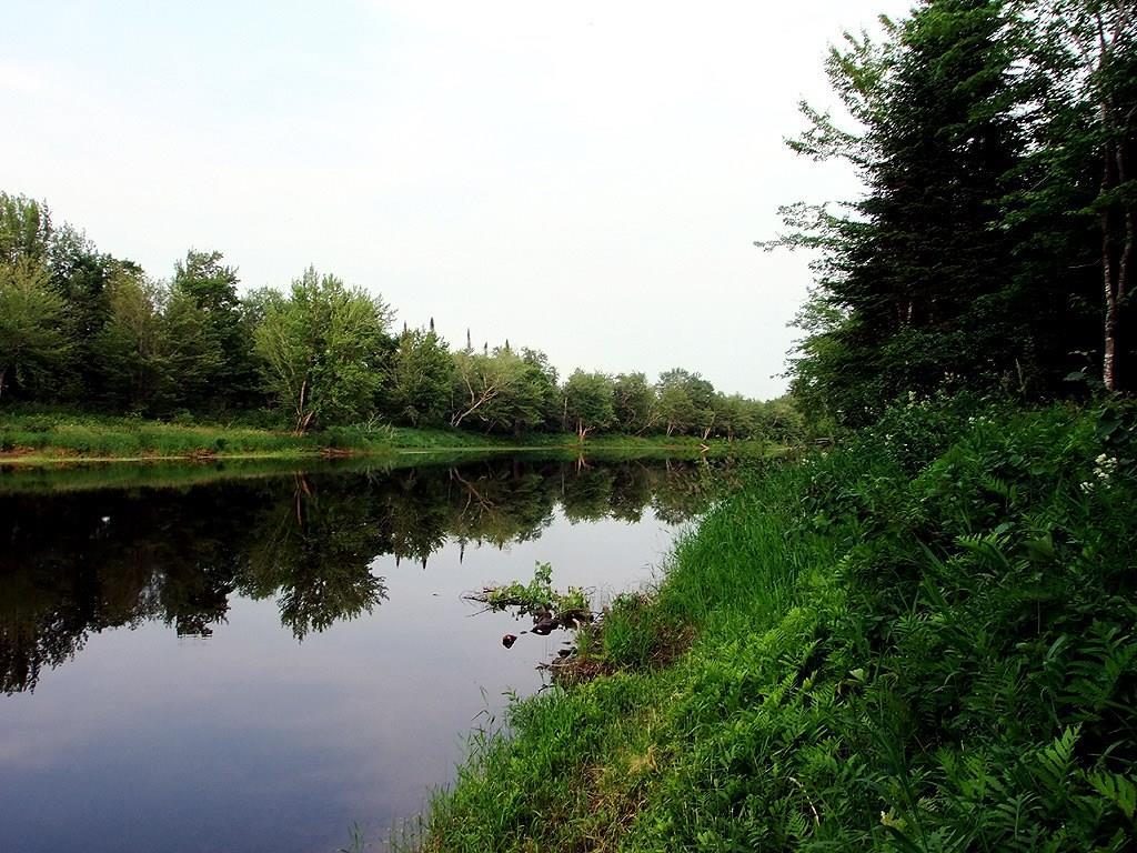 211 Danforth Road Haynesville, ME 04497 - Photo 9 of 10 Photo