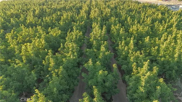 an empty view of a roadside with trees