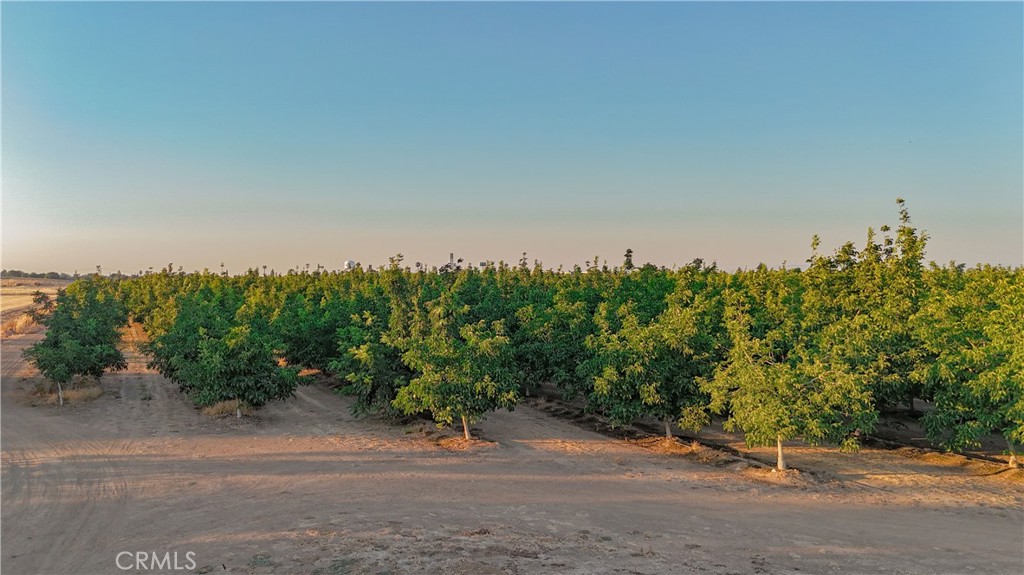 1081 East Gerard Avenue Merced, CA 95341 - Photo 12 of 13 an empty view of a roadside with trees