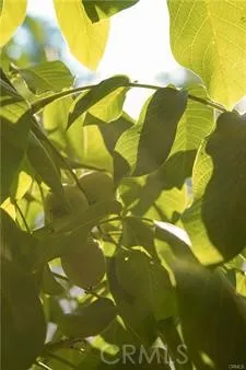 a view of a indoor basketball court