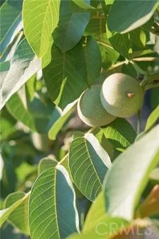 a view of a swimming pool