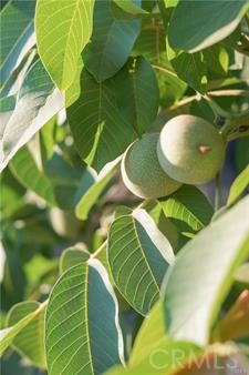 1081 East Gerard Avenue Merced, CA 95341 - Photo 7 of 13 a view of a swimming pool
