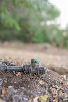 1081 East Gerard Avenue Merced, CA 95341 - Photo 9 of 13 a view of a dry yard