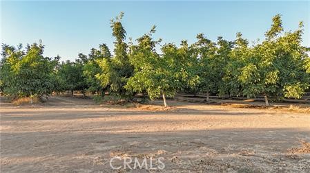 1081 East Gerard Avenue Merced, CA 95341 - Photo 10 of 13 a view of a yard