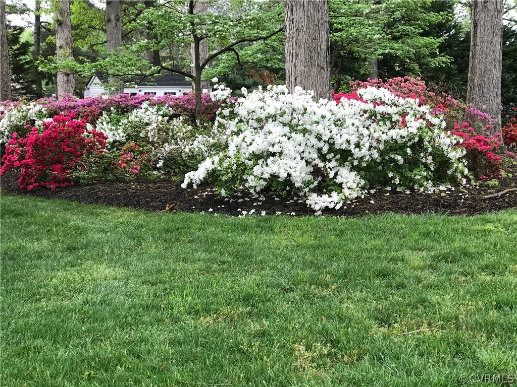 3640 Hemlock Road Chester, VA 23831 - Photo 21 of 28