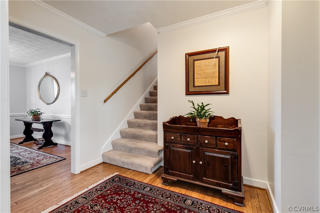 3640 Hemlock Road Chester, VA 23831 - Photo 3 of 28