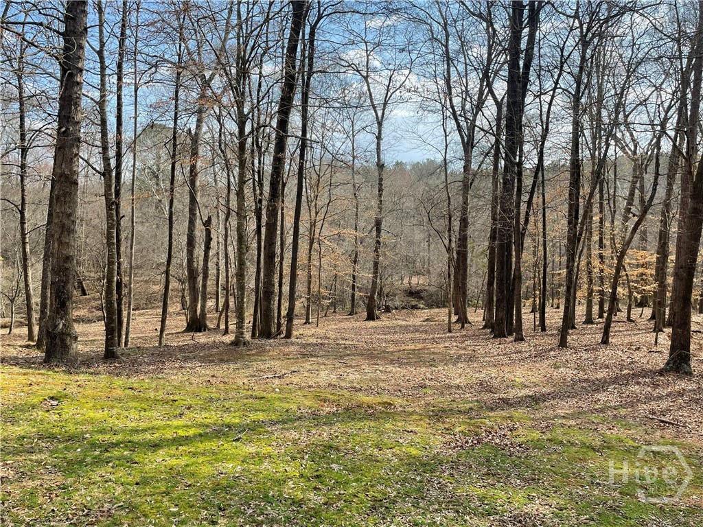 1171 River Run Bishop, GA 30621 - Photo 17 of 71 Gallery Image 17