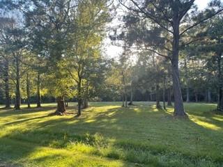 13001 Boyd Road Covington, LA 70435 - Photo 2 of 5
