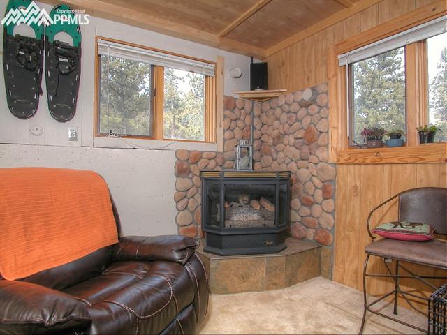 364 Stagecoach Road Guffey, CO 80820 - Photo 20 of 35 Gallery Image 20