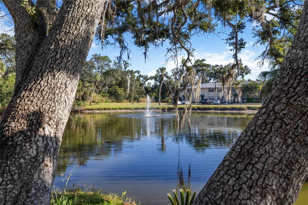 4885 Rilma Avenue, Unit 131 Sarasota, FL 34234 - Photo 24 of 25