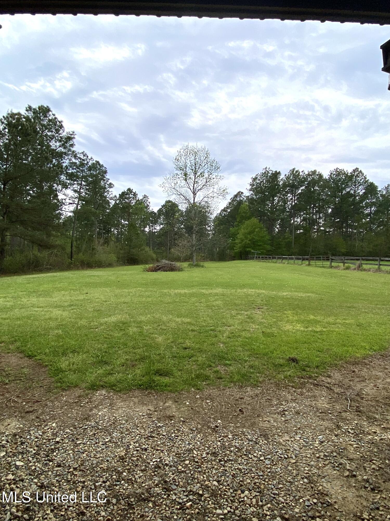 299 Quitman Perry Road Carriere, MS 39426 - Photo 62 of 79 59, Pasture, IMG_2836