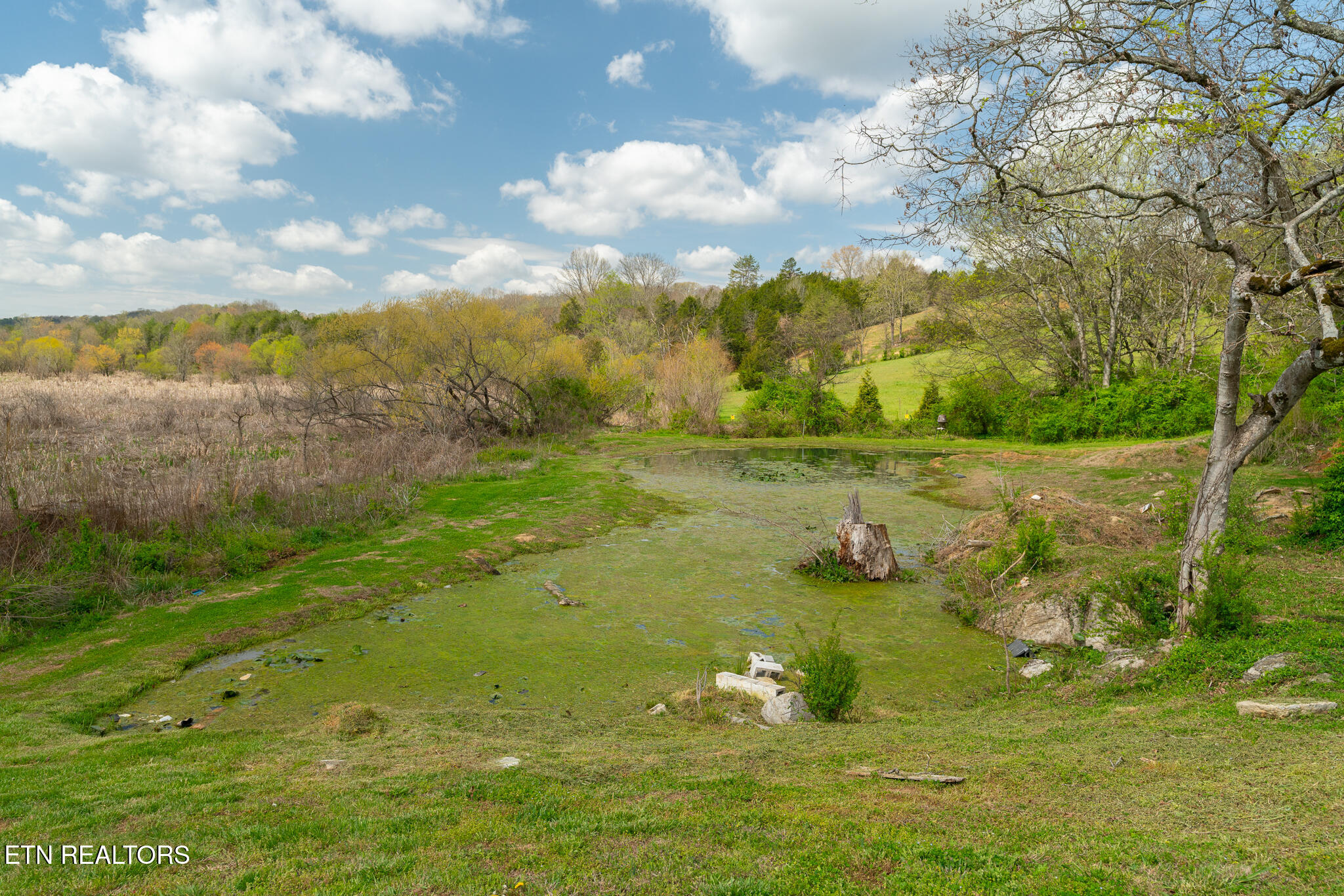 877 Eslinger Road New Market, TN 37820 - Photo 35 of 59 untitled-38