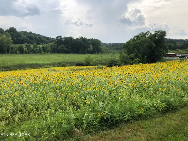 $734,000 | 877 Eslinger Road, New Market, TN 37820