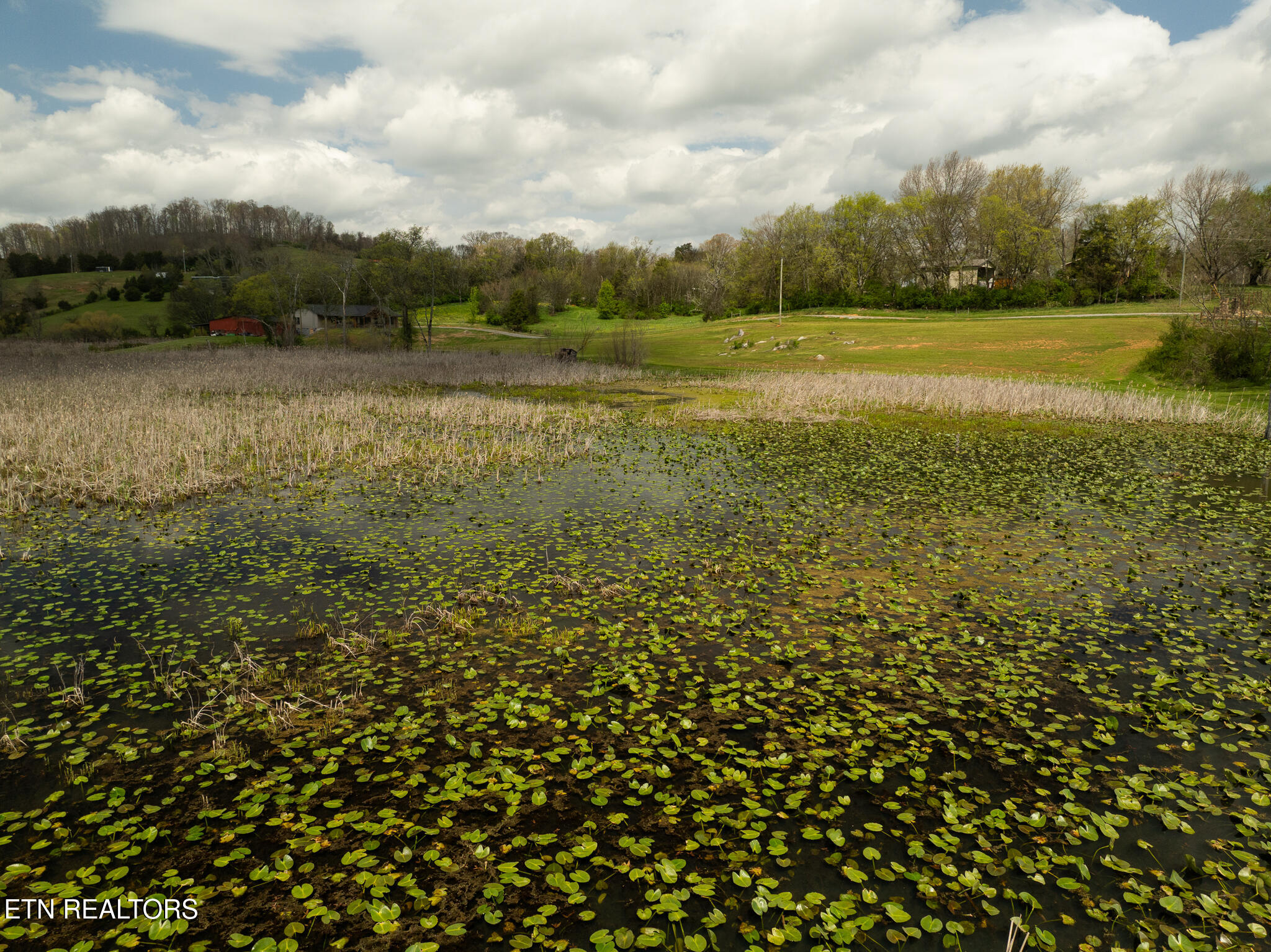877 Eslinger Road New Market, TN 37820 - Photo 51 of 59 untitled-57
