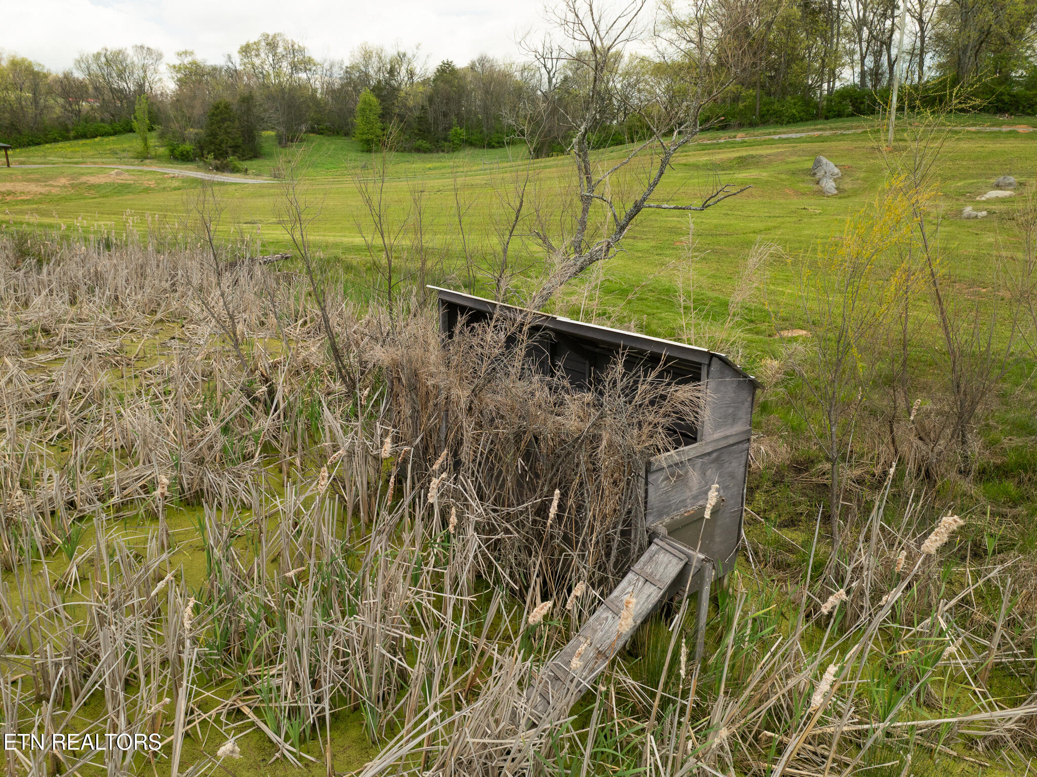 877 Eslinger Road New Market, TN 37820 - Photo 52 of 59 untitled-58