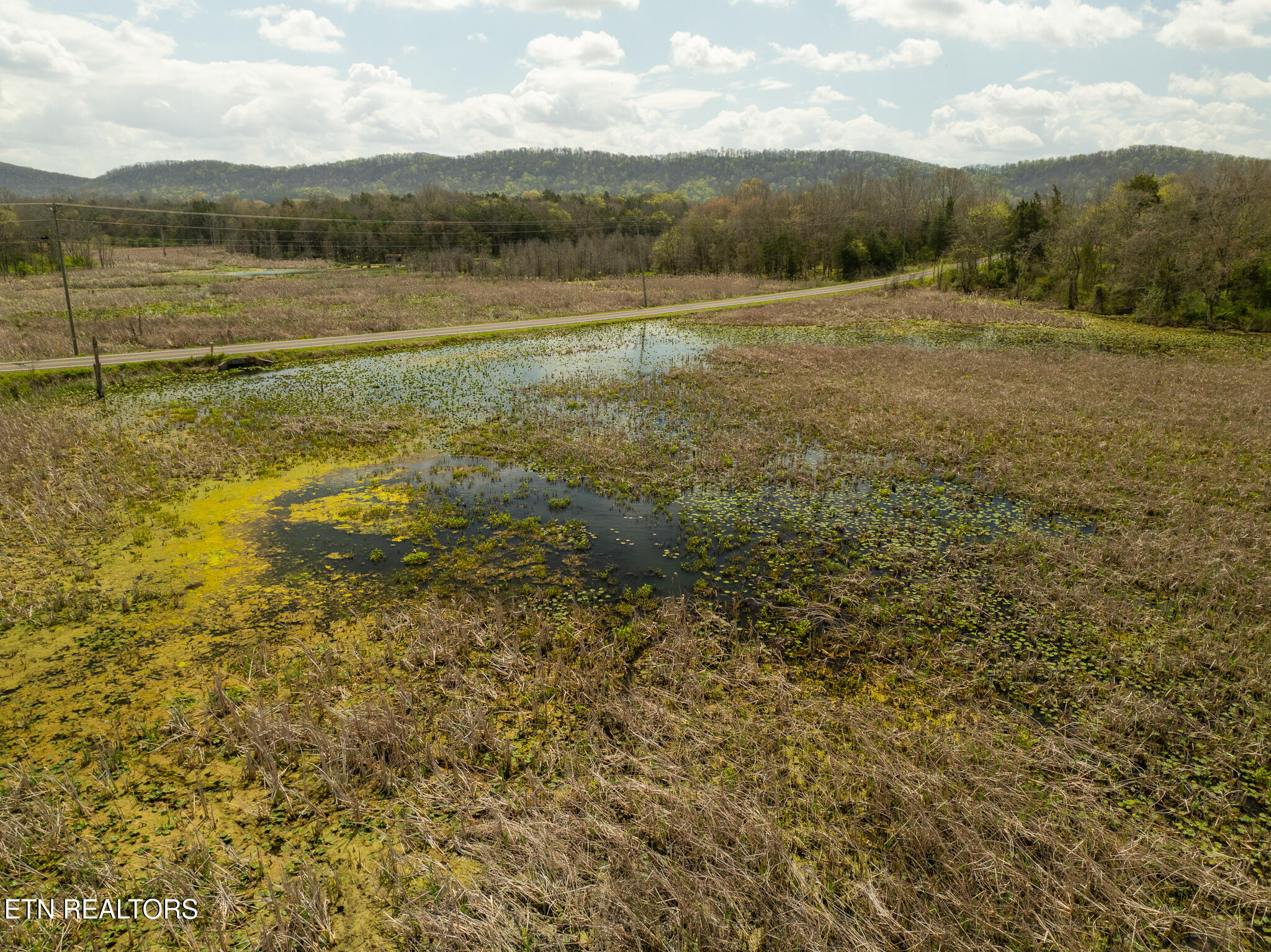 877 Eslinger Road New Market, TN 37820 - Photo 53 of 59 untitled-60