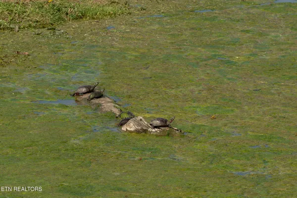 $734,000 | 877 Eslinger Road, New Market, TN 37820