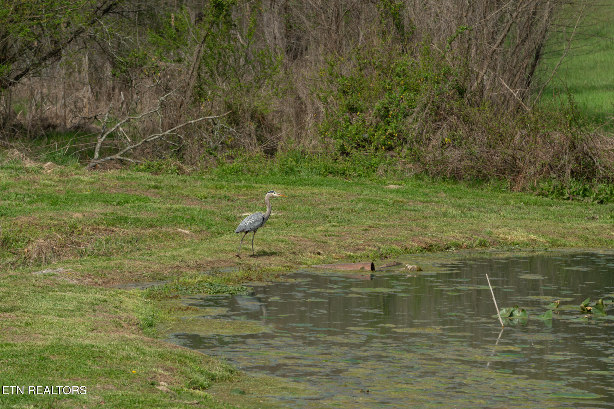 877 Eslinger Road New Market, TN 37820 - Photo 55 of 59 untitled-62