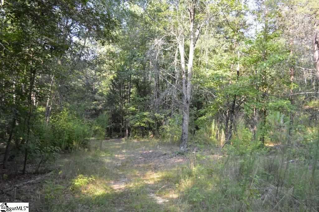 Knighton Chapel Road Fountain Inn, SC 29644 - Photo 14 of 35